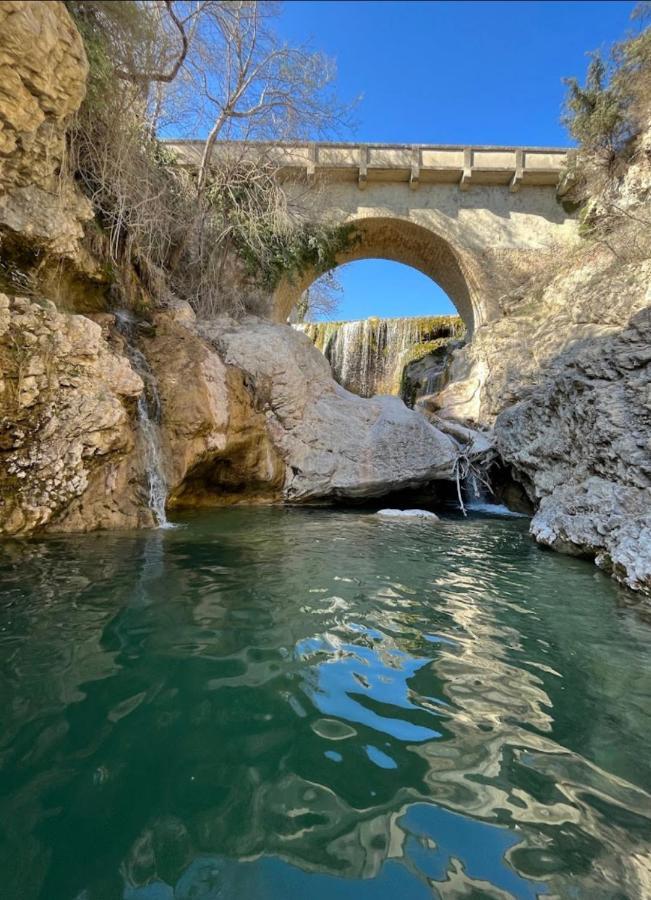 Sous Les Etoiles En Provence, Gite Les Bambous Lurs Extérieur photo